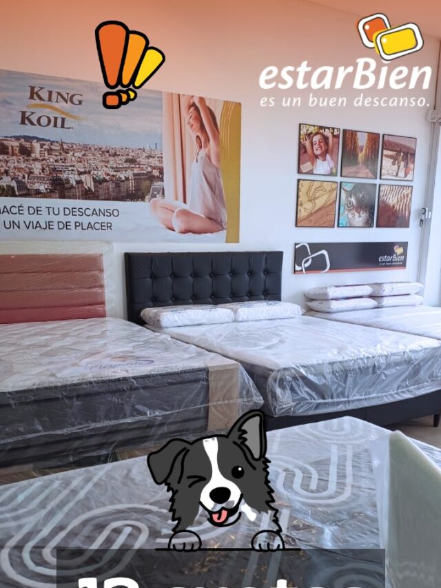 12 cuotas sin interés.