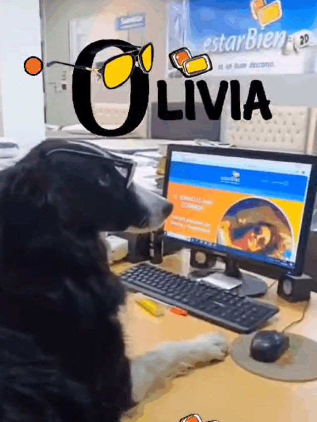 En EstarBien Mueblería, Olivia te brinda la mejor atención!